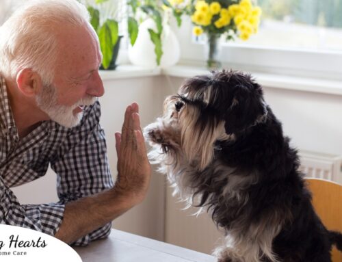 Empathy in Action: Strategies for Professional Caregivers Handling Client’s Beloved Pets