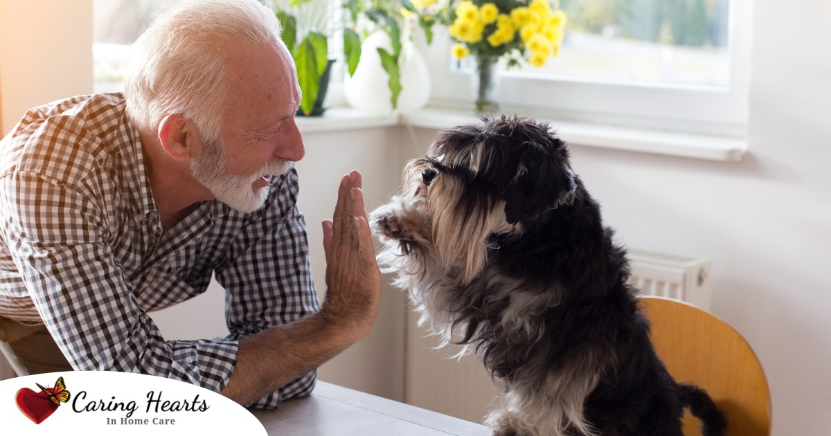 A senior man “high-fives” his pet dog, showing the type of close relationship professional caregivers should be aware of when caring for clients.