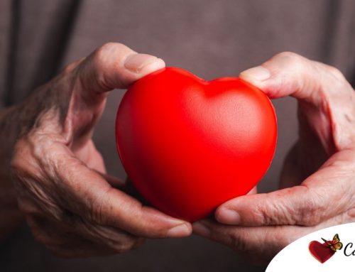 Heart Health and Aging: Small Daily Habits That Support Recovery and Independence